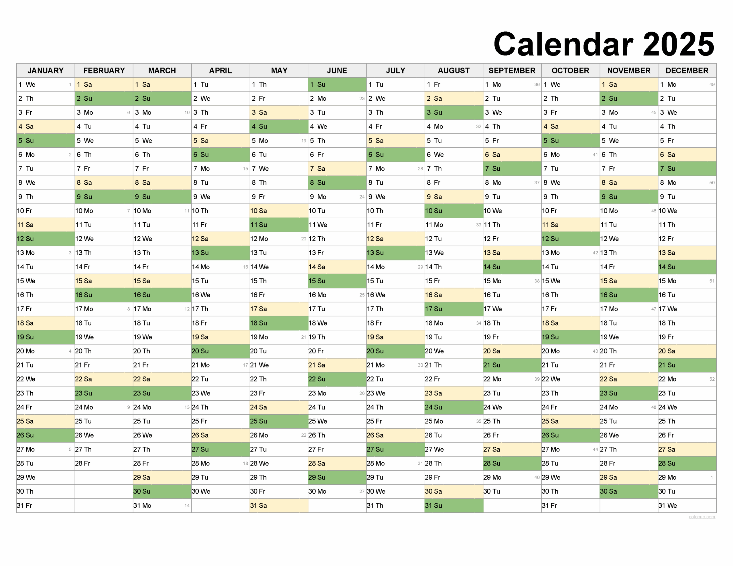 Blank 2025 Year Calendar Printable