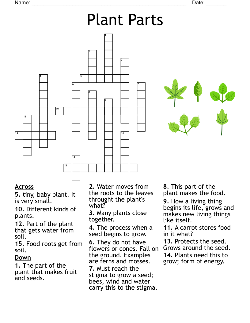 Grade 4 Crossword Puzzles Printable