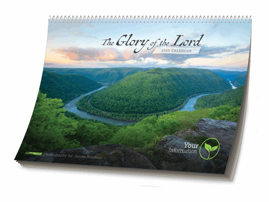 Personalized 2025 Calendar 25 Or More Lenspiration