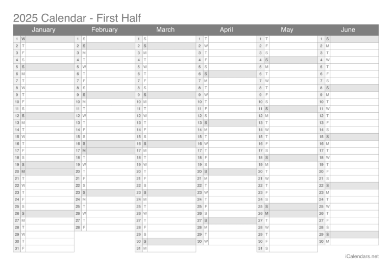 Blank 2025 Year Calendar Printable